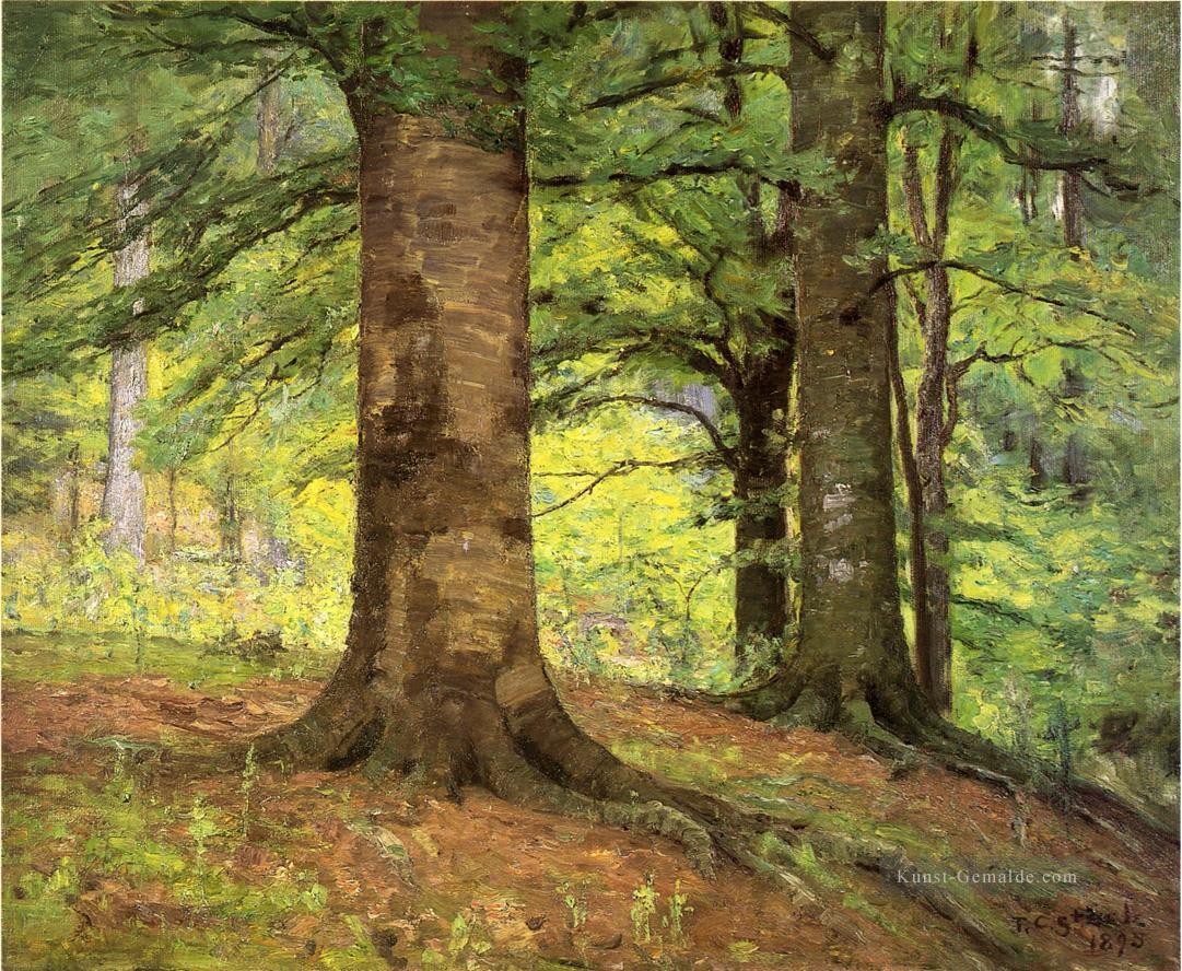 Buche Bäume Impressionist Indiana Landschaften Theodore Clement Steele Wald Ölgemälde